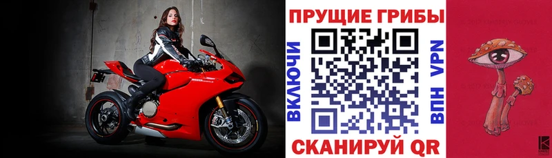 площадка клад Кызыл Псилоцибиновые грибы мухоморы ссылка на мегу ССЫЛКА